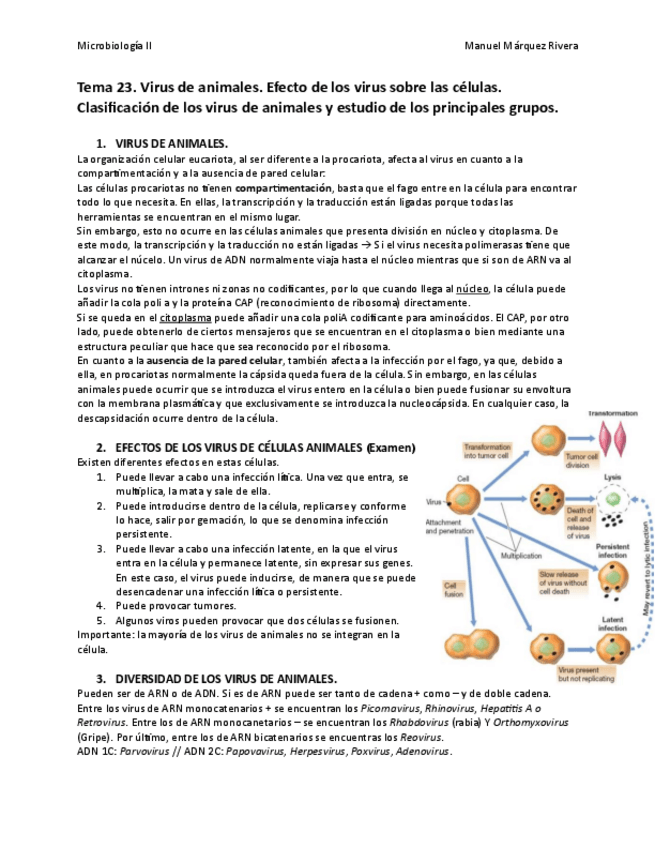 Miniatura del documento Tema 23.pdf