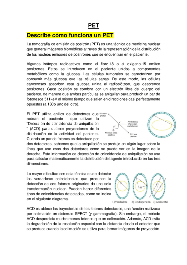 Miniatura del documento PET.pdf