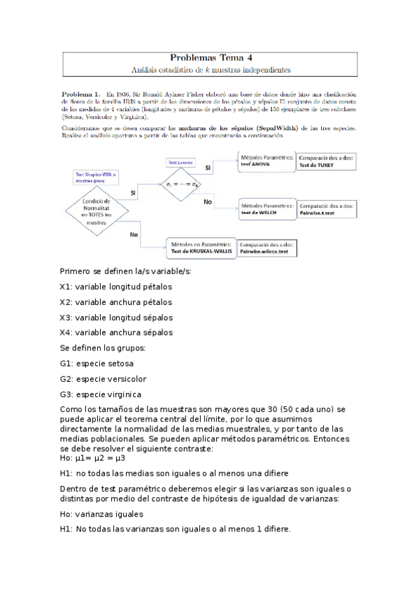 Miniatura del documento ejercicios-tema-4.docx