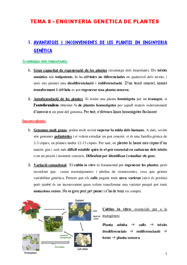 Miniatura del documento Tema-8-i-9.pdf