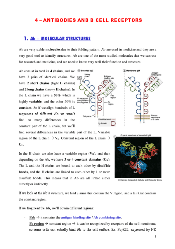 Miniatura del documento Unit-4.pdf