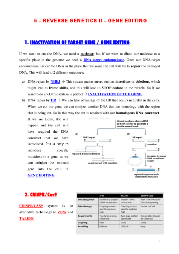 Miniatura del documento TEORIA-5.pdf