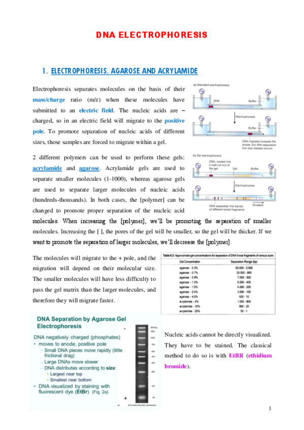 Miniatura del documento TEORIA-3.pdf
