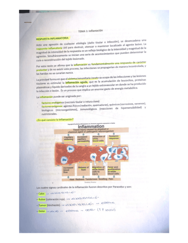 Miniatura del documento Resumenes-inmunologia.pdf
