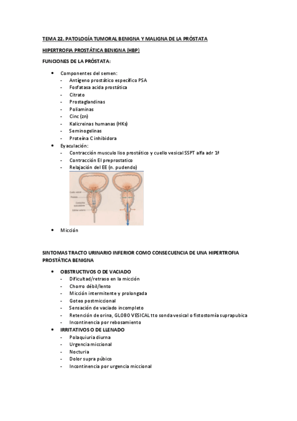 Miniatura del documento TEMA-22-PATOLOGIA-TUMORAL-BENIGNA-Y-MALIGNA-DE-PROSTATA.pdf