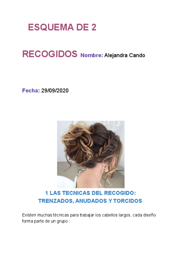 Miniatura del documento ESQUEMA-DE-2-RECOGIDOS.pdf