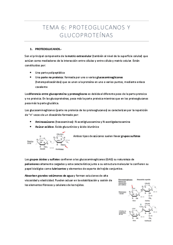 Miniatura del documento tema-6-proteoglucanos-y-glucoproteinas.pdf