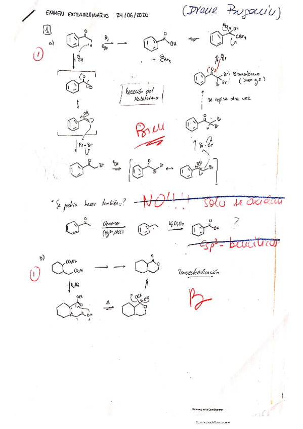 Miniatura del documento extra-2020-QOII.pdf