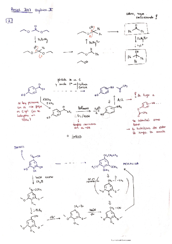 Miniatura del documento sol.pdf