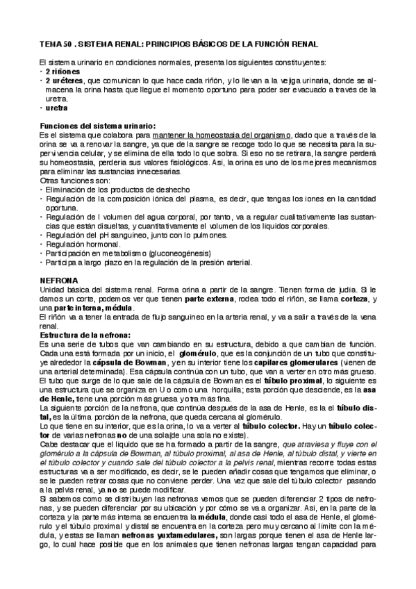 Miniatura del documento Principios básicos de la función renal.pdf