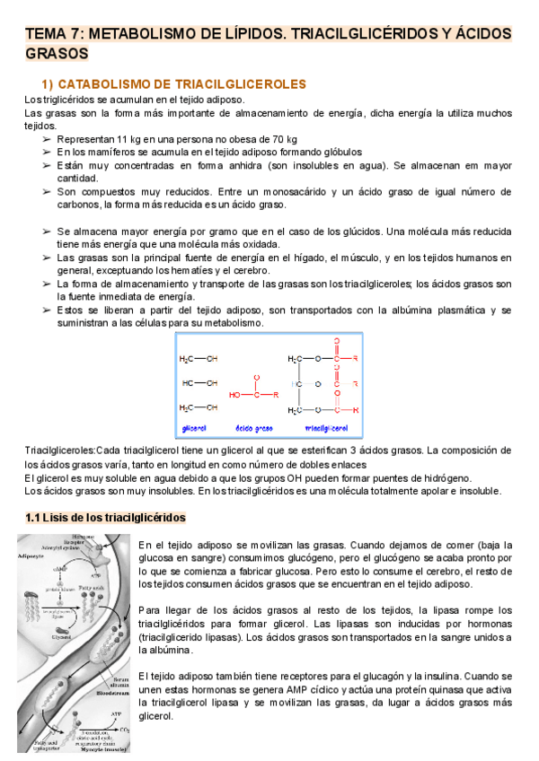 Miniatura del documento Temas-7-al-11.pdf