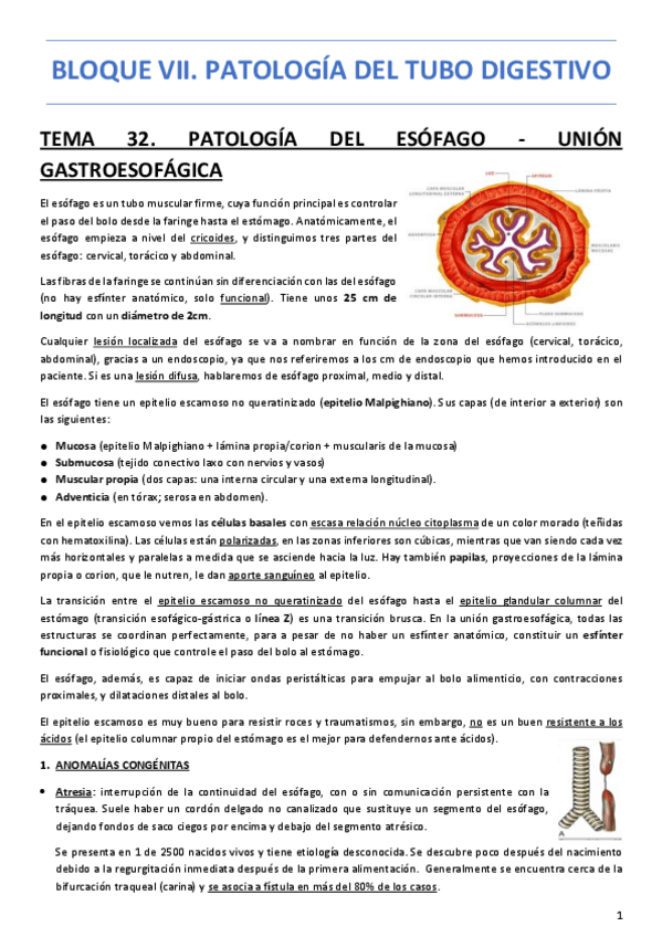 Miniatura del documento APUNTES-2o-CUATRI.pdf