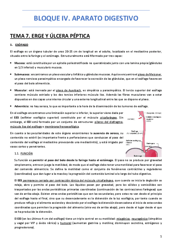 Miniatura del documento BLOQUE-IV.pdf