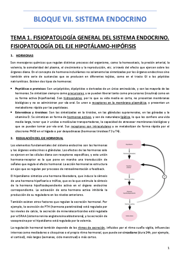Miniatura del documento BLOQUE-VII.pdf