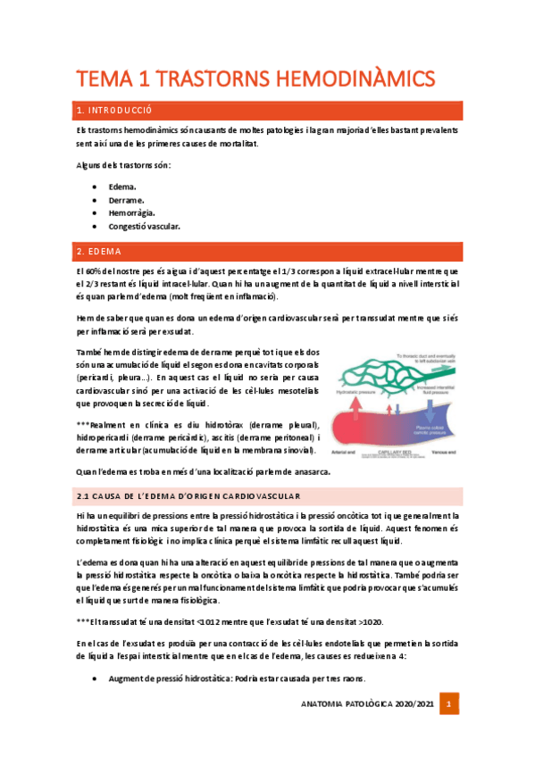 Miniatura del documento Tema-1-Patologia-vascular.pdf