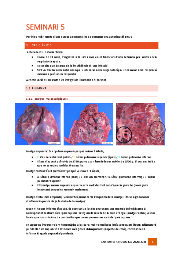 Miniatura del documento Seminari-5.pdf