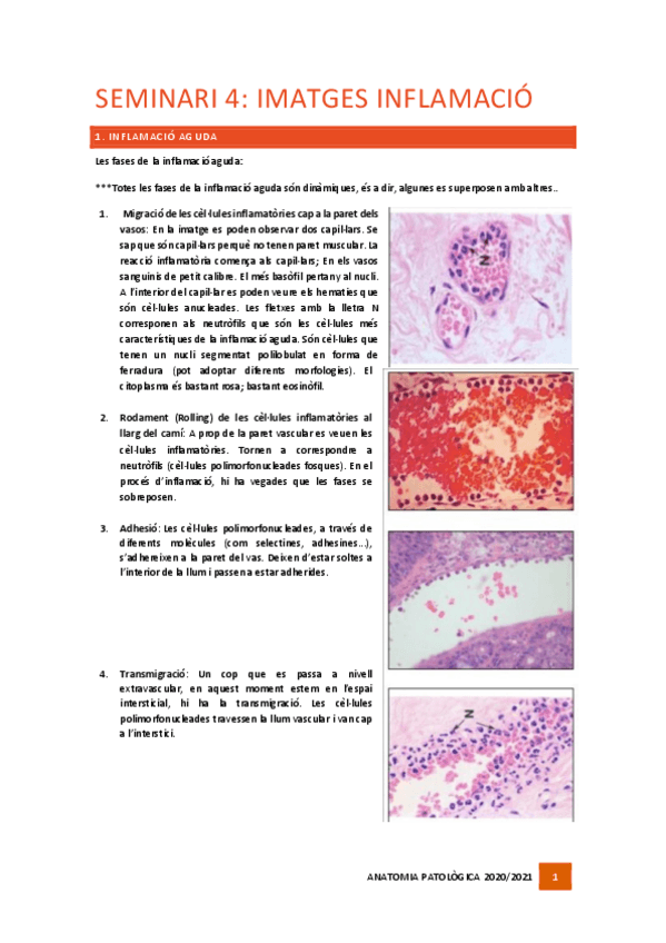 Miniatura del documento Seminari-4.pdf