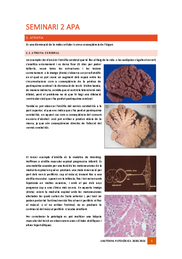 Miniatura del documento Seminari-2.pdf