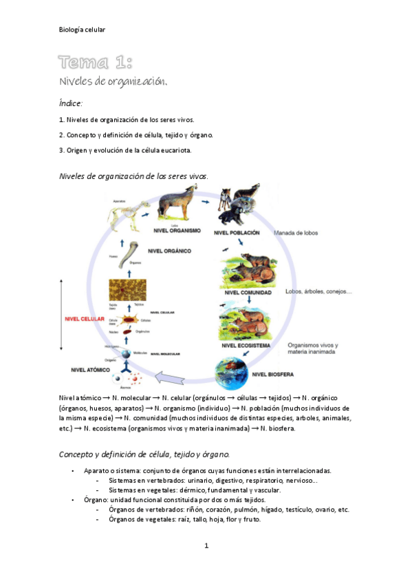 Miniatura del documento Biologia-celular.pdf
