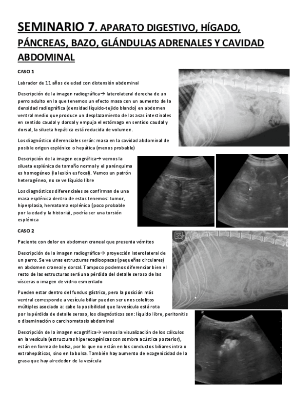 Miniatura del documento SEMINARIO-7.pdf