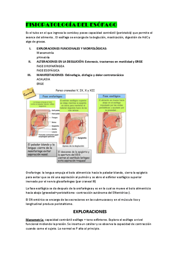 Miniatura del documento Digestivo-esofago.pdf