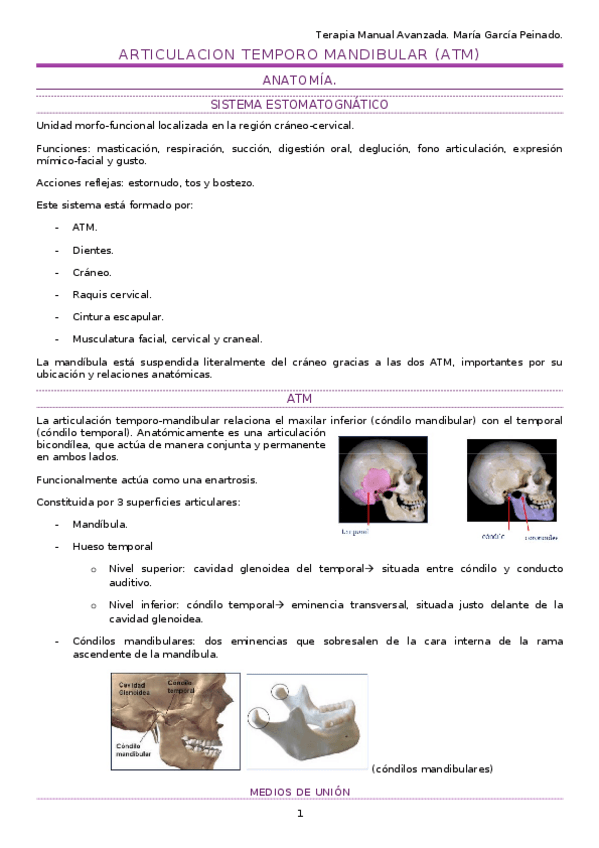 Miniatura del documento Apuntes-ATM.docx