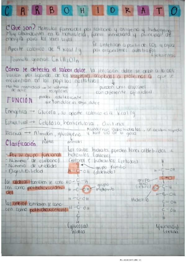 Miniatura del documento Carbohidratos.pdf