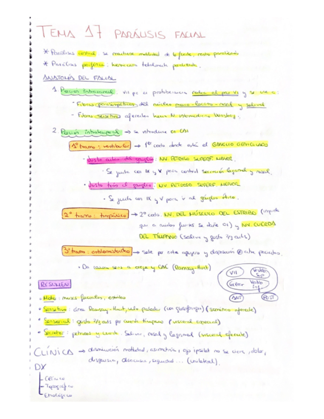 Miniatura del documento T17-Paralisis-facial.pdf