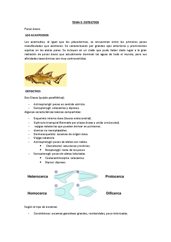 Miniatura del documento 05.pdf