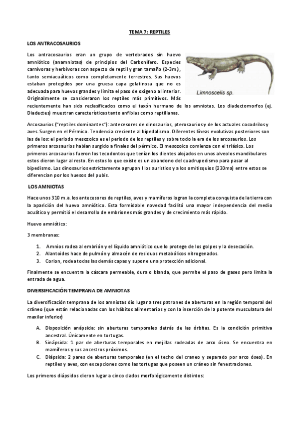 Miniatura del documento 07.pdf