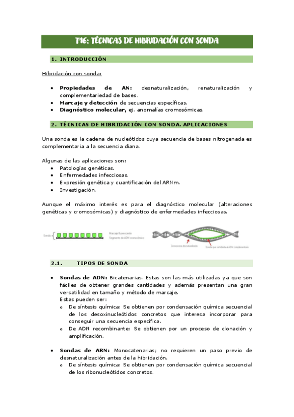 Miniatura del documento RESUMEN-T16-.pdf