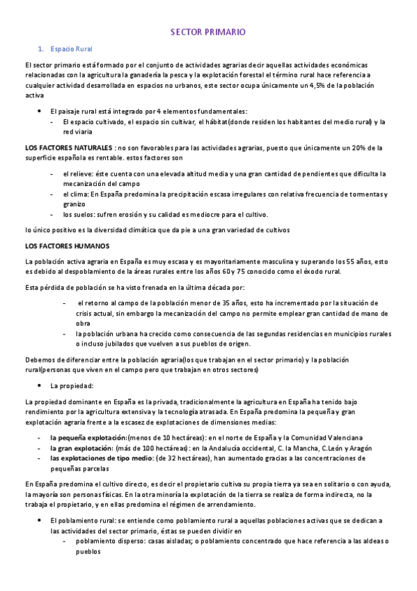 Miniatura del documento ESPACIO-RURAL.pdf