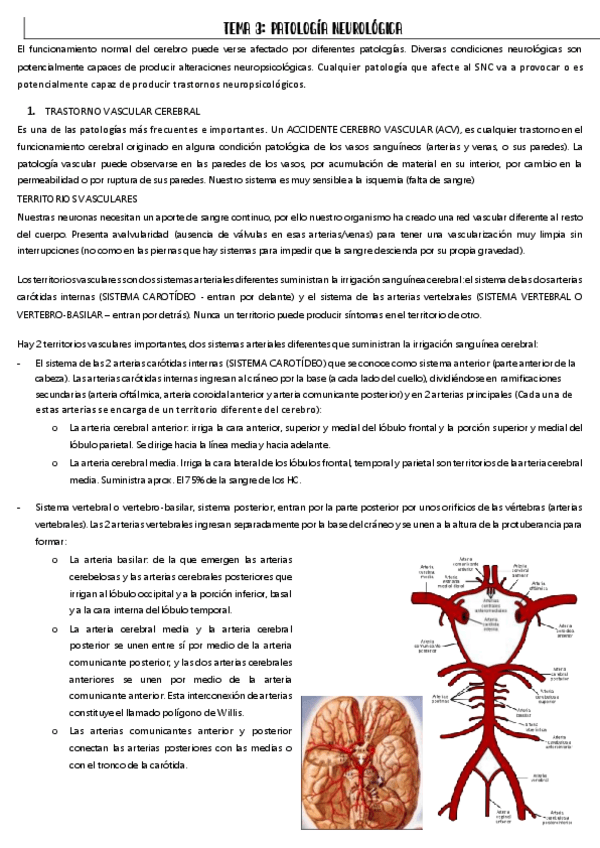 Miniatura del documento TEMA-3.pdf