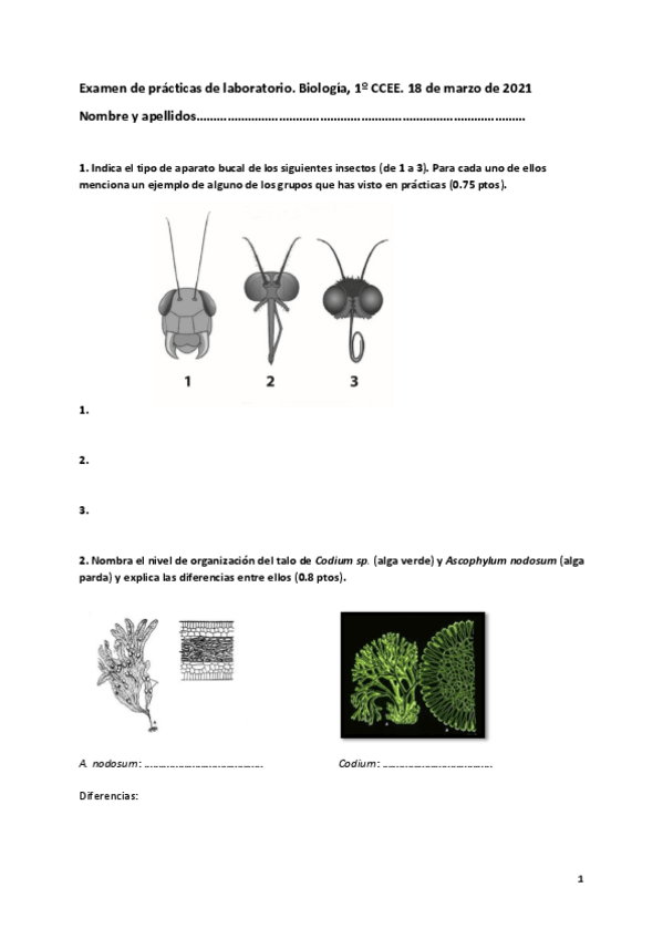 Miniatura del documento Examen-de-practicas-2021.pdf
