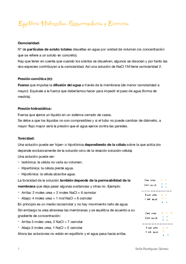 Miniatura del documento 4. Osmorregulación y excreción 