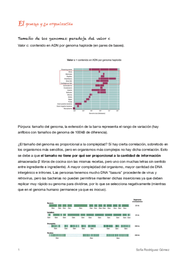 Miniatura del documento 3. El genoma y su organización 