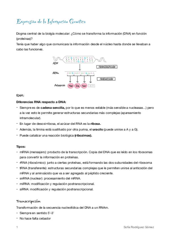 Miniatura del documento 5. Expresión de la información génica