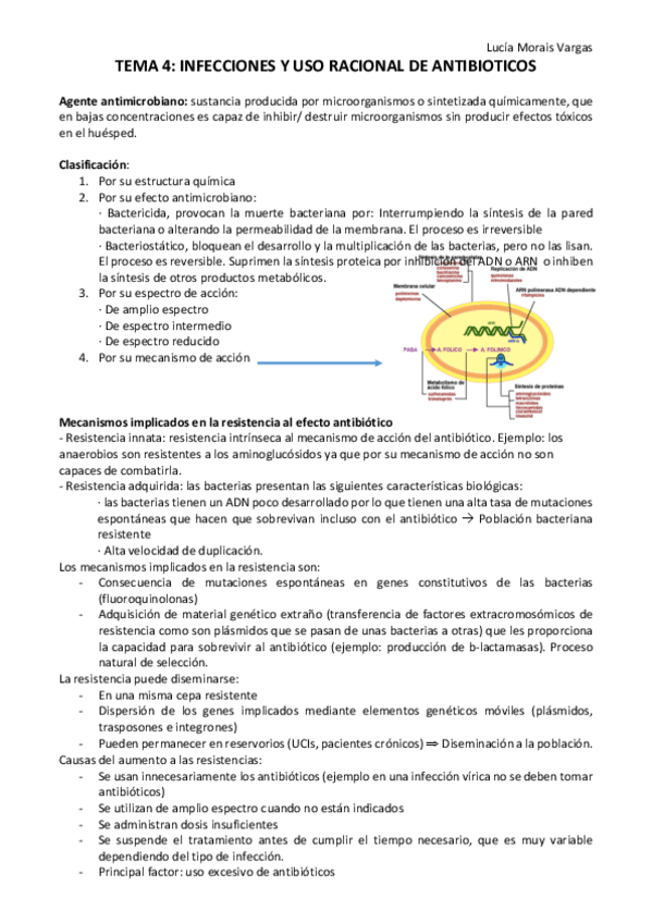Miniatura del documento TEMA 4.pdf