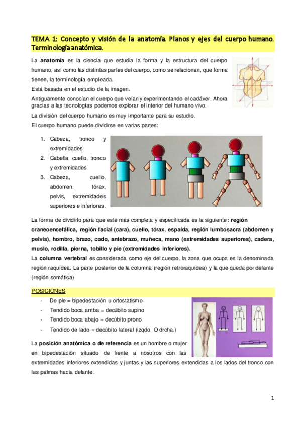 Miniatura del documento TEMA-1.pdf