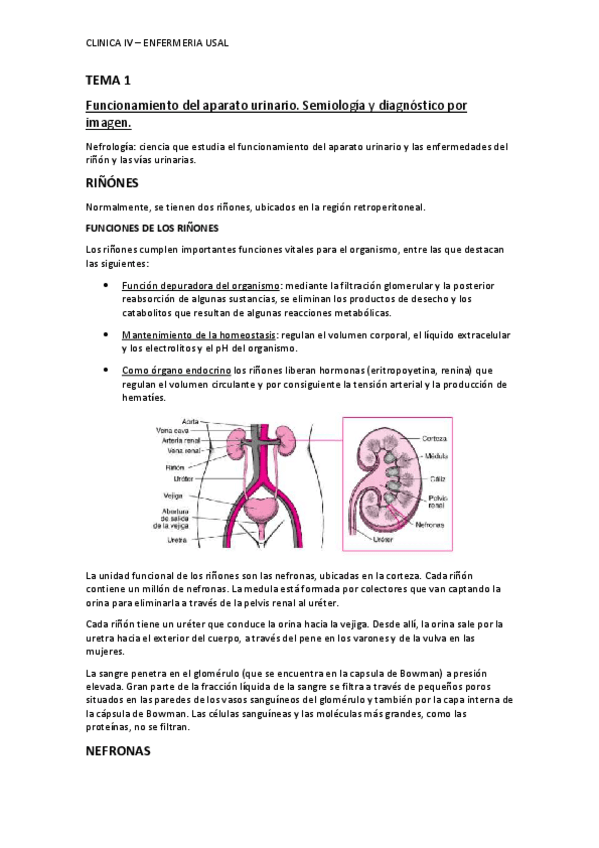 Miniatura del documento TEMA-1-CLINICA-IV-ENFERMERIA-USAL.pdf