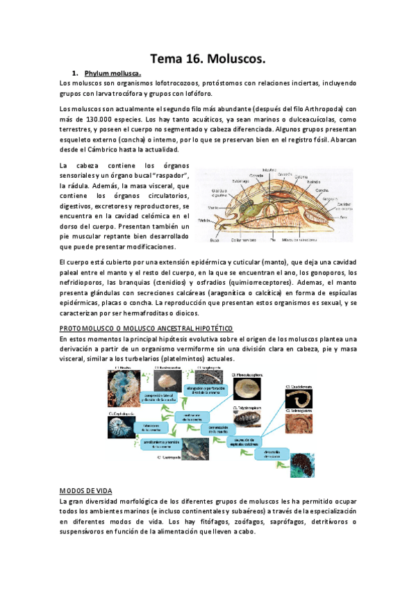 Miniatura del documento Tema-16.pdf