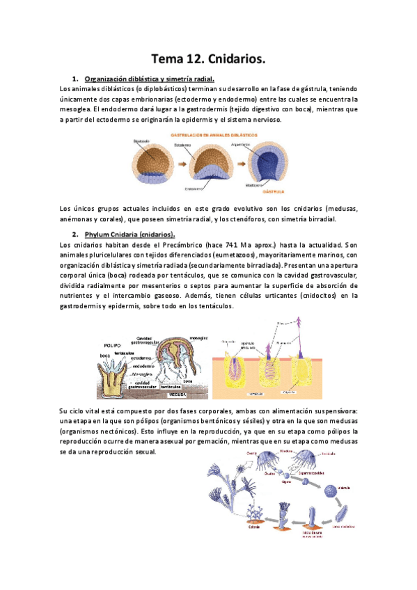 Miniatura del documento Tema-12.pdf