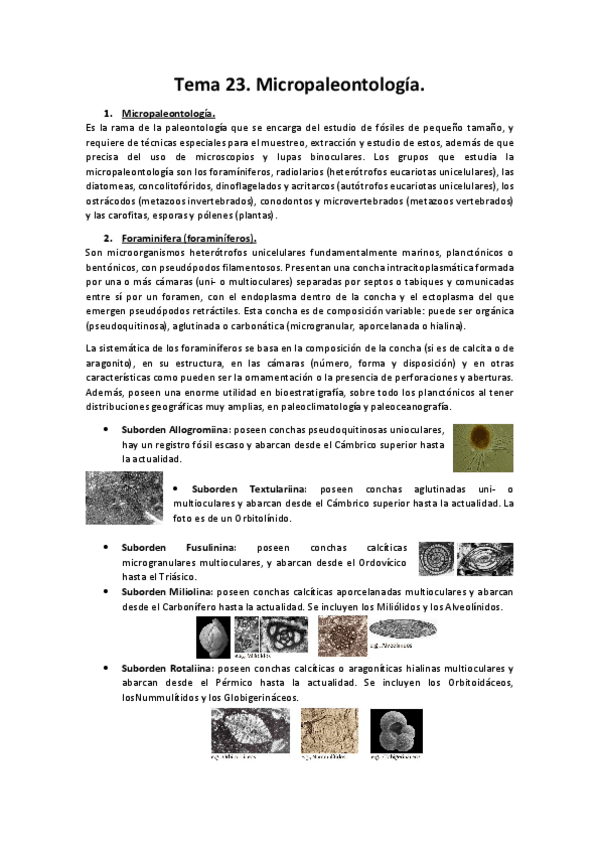 Miniatura del documento Tema-23.pdf