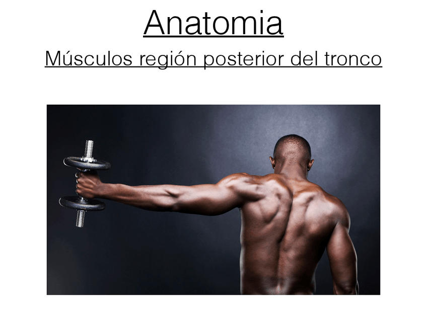 Miniatura del documento 3) musculos region posterior del tronco.pdf