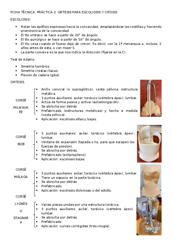 Miniatura del documento Ficha-tecnica-3.docx