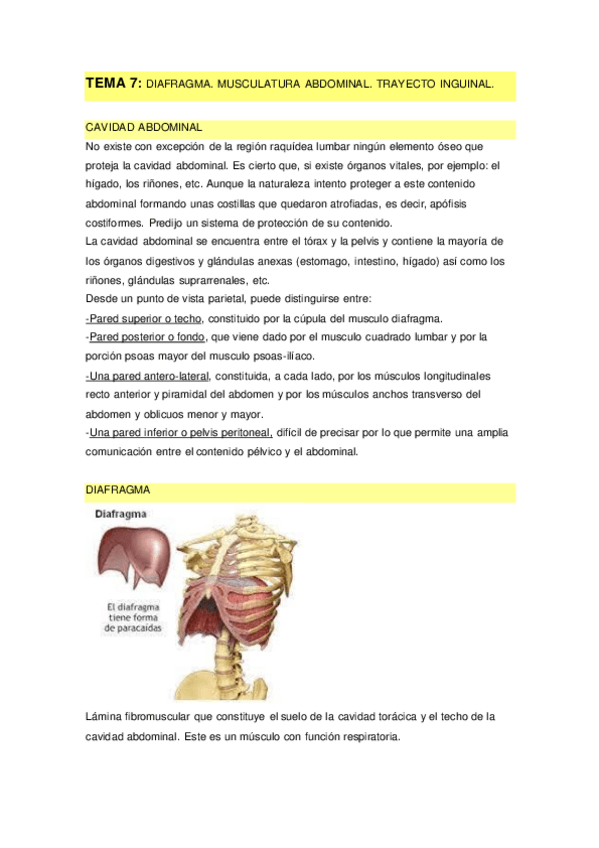 Miniatura del documento TEMA-7.pdf