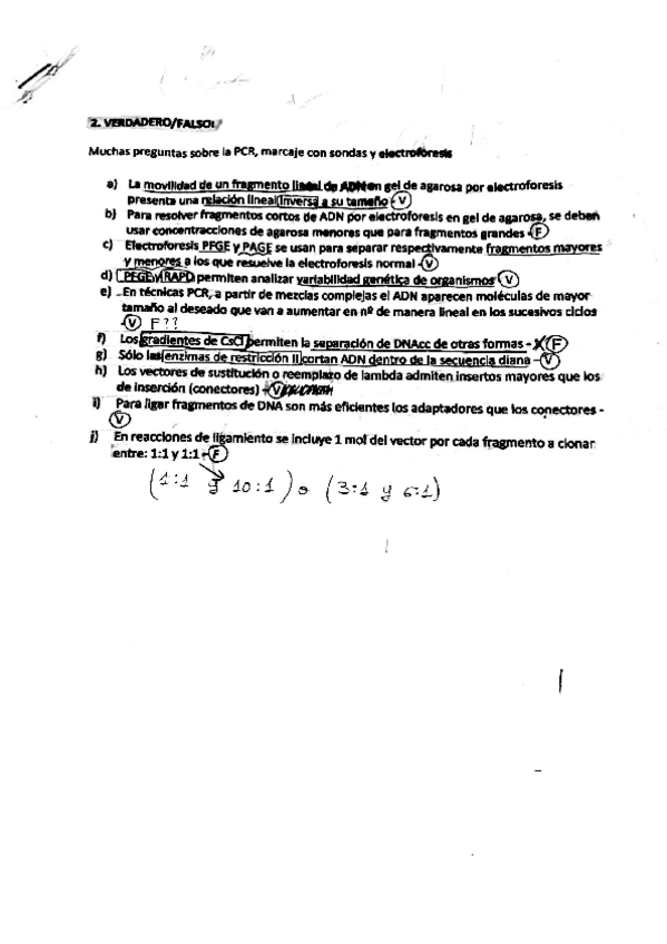 Miniatura del documento PREGUNTAS-EXAMEN-RESUELTAS.pdf