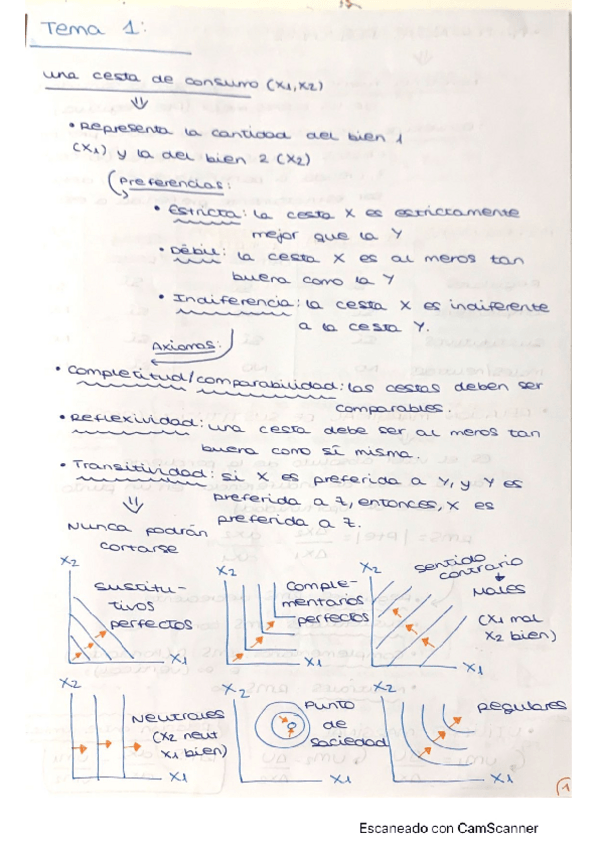 Miniatura del documento Apuntes-y-ejs-resueltos-TODOS-TEMAS.pdf