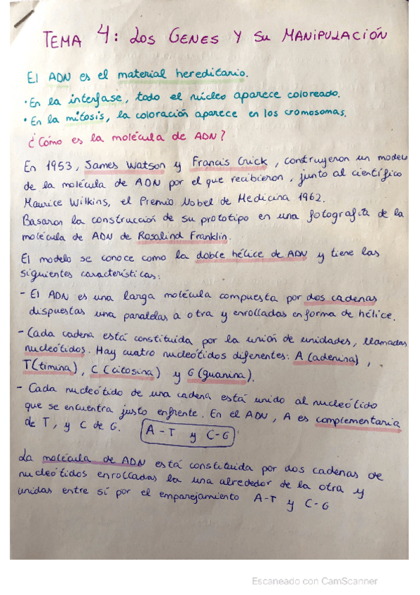 Miniatura del documento Genes-y-su-manipulacion.pdf