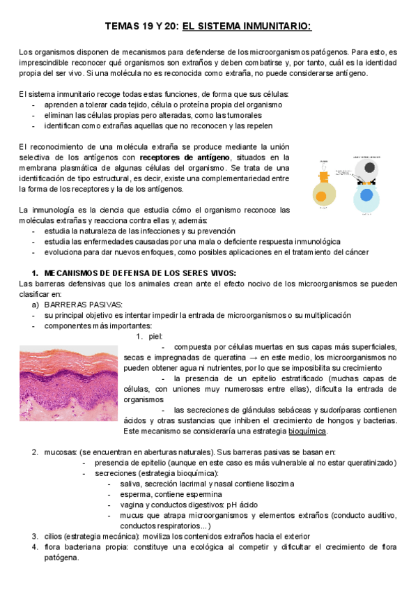 Miniatura del documento INMUNOLOGIA-2o-BACH.pdf